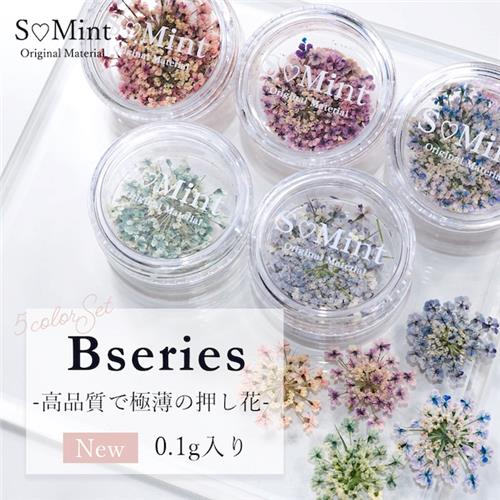 S♡Mint 日本手染乾燥花